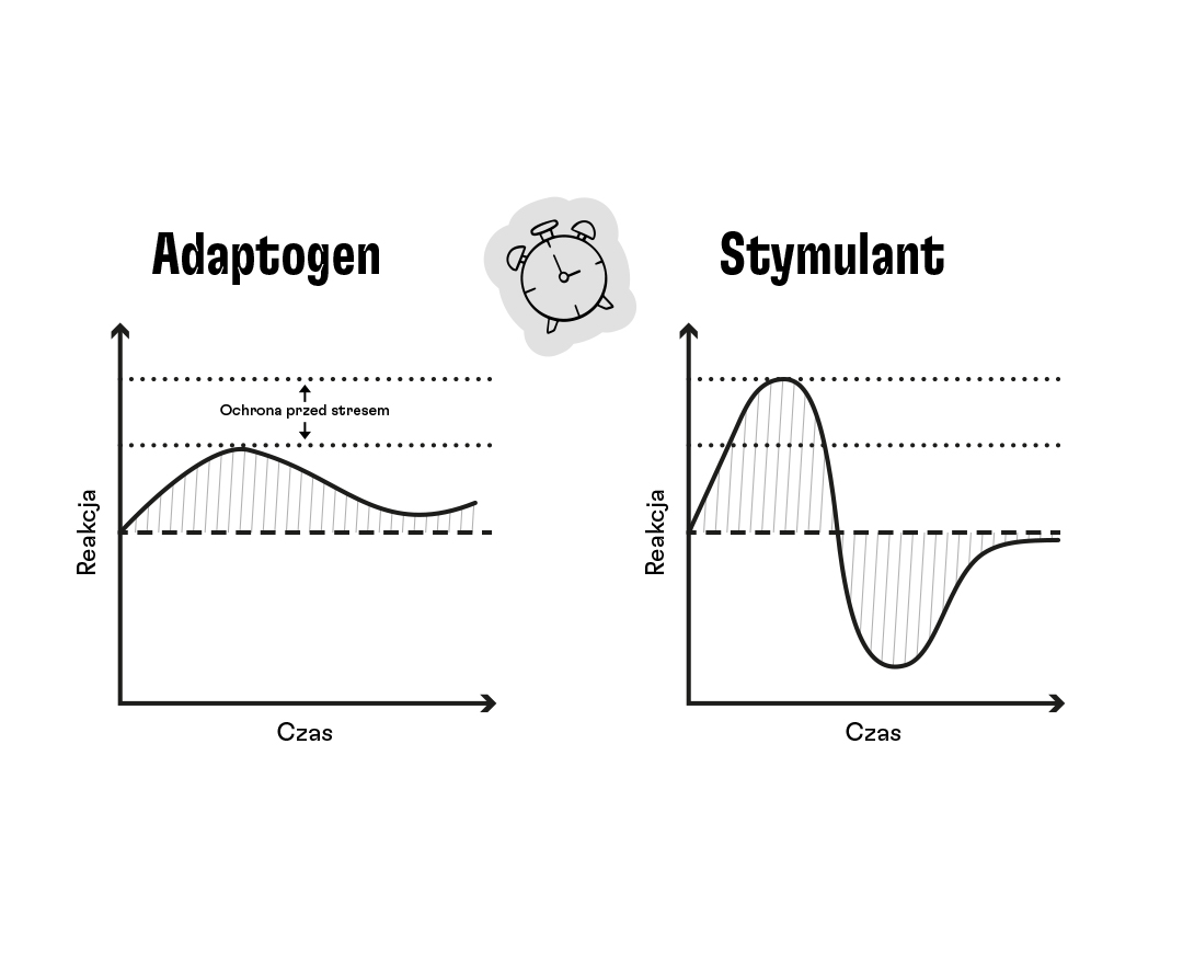 graf_adaptogen a stimulant_pl
